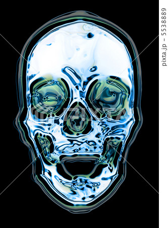 skull skull 5538889
