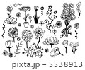 hand drawn flowers 5538913