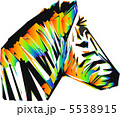 color zebra head 5538915