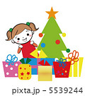 クリスマスギフト 5539244