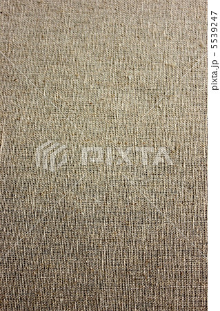 壁紙　縦 5539247