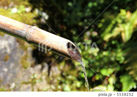 ししおどし 5539252