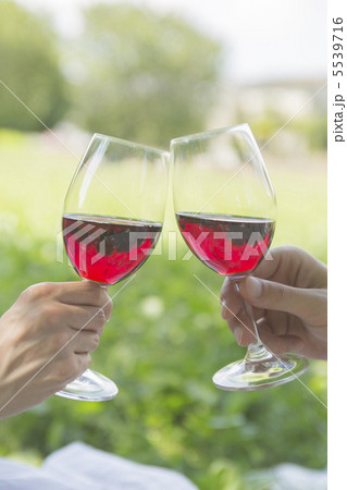 ピクニックで乾杯 5539716