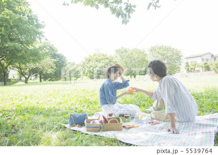 ピクニックするカップル 5539764