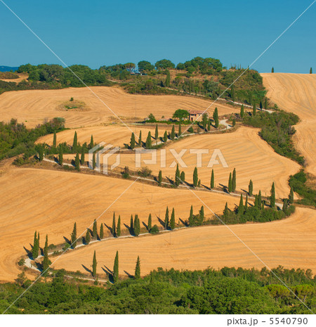 typical tuscan landscape typical tuscan landscape 5540790