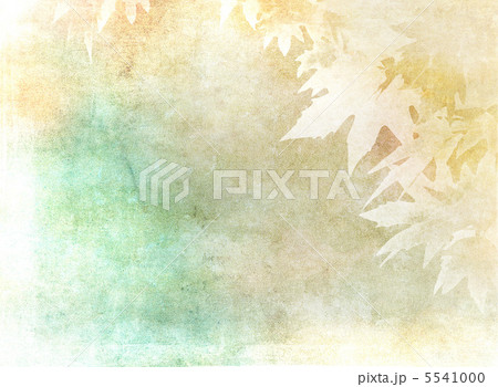 grunge background with autumn leaves 5541000