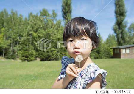 たんぽぽと女の子 5541317