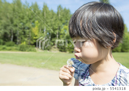 たんぽぽと女の子 5541318