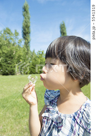 たんぽぽと女の子 5541319