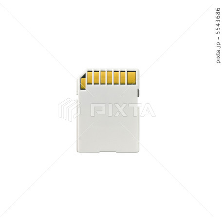 an SD memory card isolated on a white background 5543686