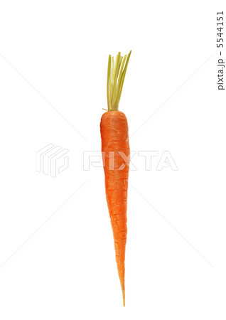 carrots carrots 5544151