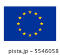 European flag 5546058
