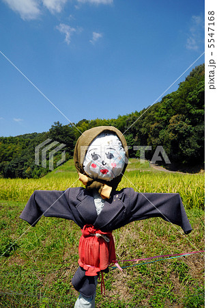 案山子の写真素材 [5547168] - PIXTA