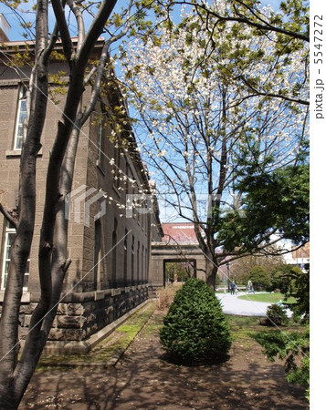 春の札幌市資料館 春の札幌市資料館 5547272