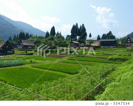 五箇山・相倉集落 5547534