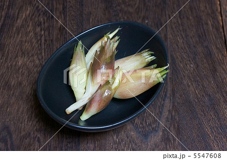 みょうが 5547608