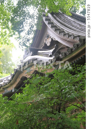 三渓園 三渓園 5547819