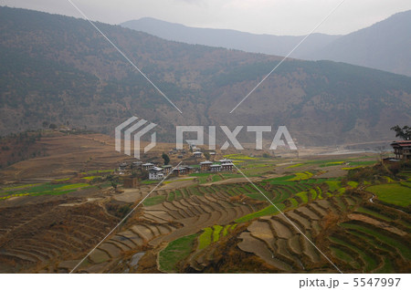 ブータン　畑　 5547997