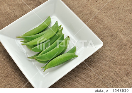 スナップエンドウ スナップエンドウ 5548630