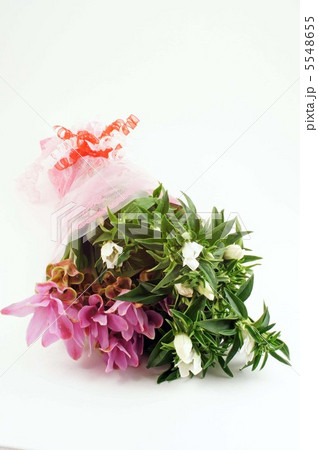 クルクマとリンドウ 5548655