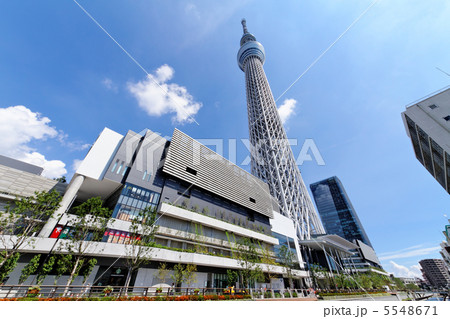 東京スカイツリータウンとおしなり公園と青空 東京スカイツリータウンとおしなり公園と青空 5548671