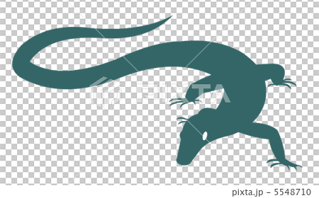 おおとかげシルエット 5548710