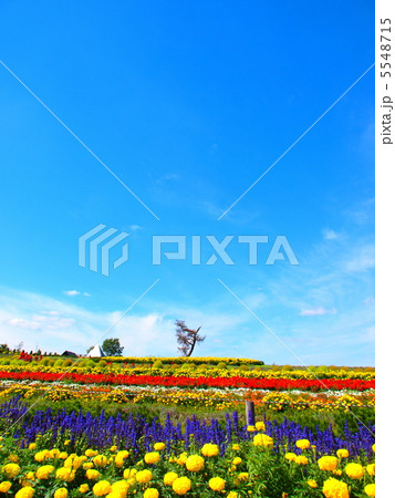 ぜるぶの丘 5548715