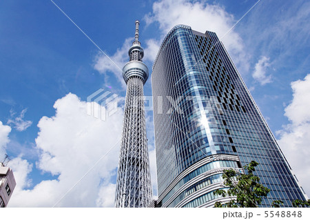 東京スカイツリーとイーストタワーと青空 5548848