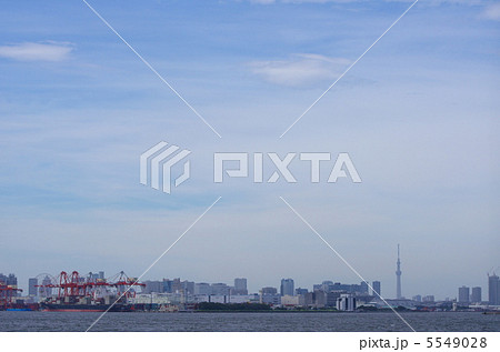 東京湾 東京湾 5549028
