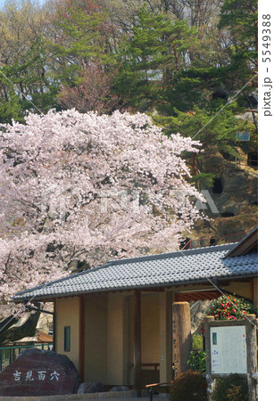 吉見百穴 5549388