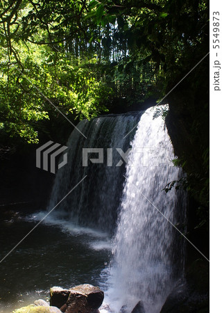 鍋ヶ滝【縦】 5549873