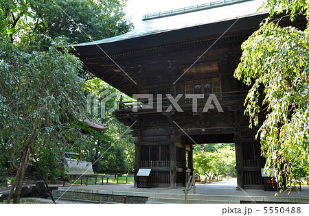 九品仏浄真寺　仁王門　 5550488