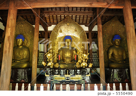 九品仏浄真寺　阿弥陀如来像 5550490