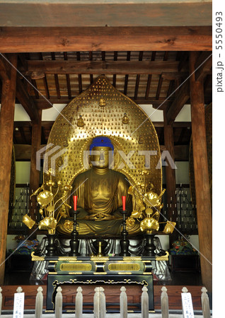 九品仏浄真寺　阿弥陀如来像 5550493