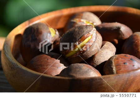 焼き栗 5550771