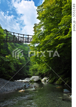 徳島　三好市　二重かずら橋　男橋 5551589