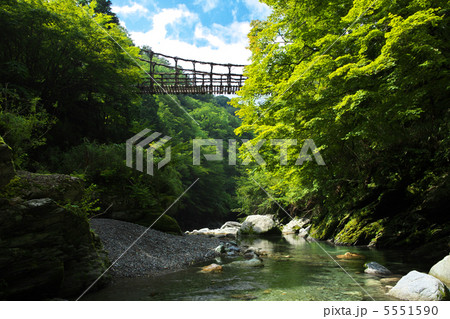 徳島　三好市　二重かずら橋　男橋 5551590