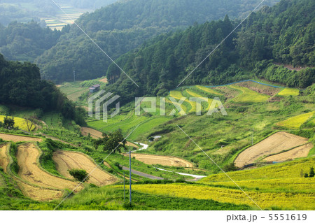 岡山　久米南町　上籾棚田 5551619