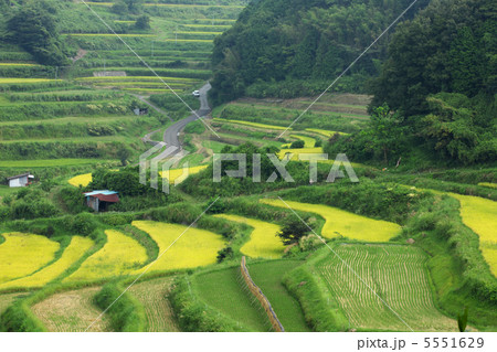 岡山 美咲町 大垪和西棚田 岡山 美咲町 大垪和西棚田 5551629