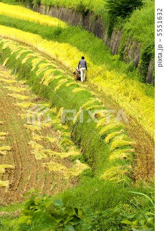 岡山 美咲町 大垪和西棚田 岡山 美咲町 大垪和西棚田 5551632