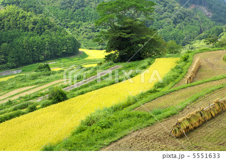 岡山 美咲町 大垪和西棚田 岡山 美咲町 大垪和西棚田 5551633