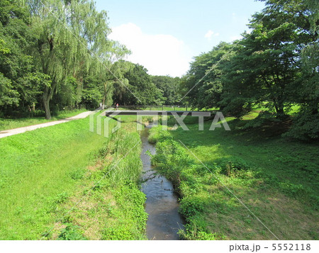 野川公園 野川公園 5552118