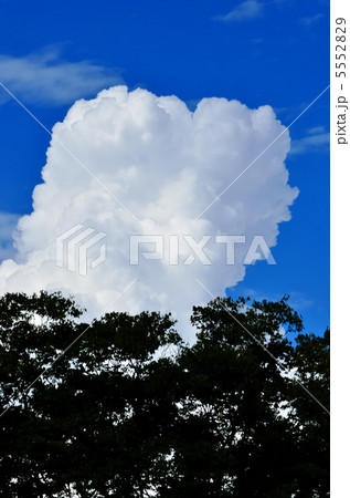 入道雲 5552829