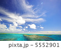沖縄の綺麗な海のサンゴ礁 5552901