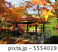 秋の京都へ紅葉狩り 5554019