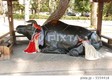 北野天満宮の臥牛像（京都市上京区馬喰町） 5554418