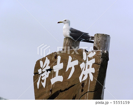 浄土ヶ浜 5555159