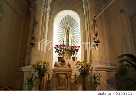 聖ドミニコ教会マリア像 5555215