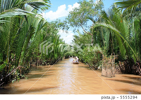 ベトナム　メコン川を行く 5555294