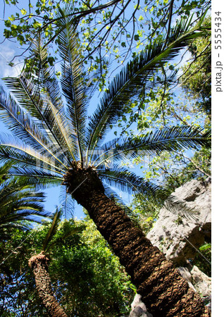 大石林山 5555434